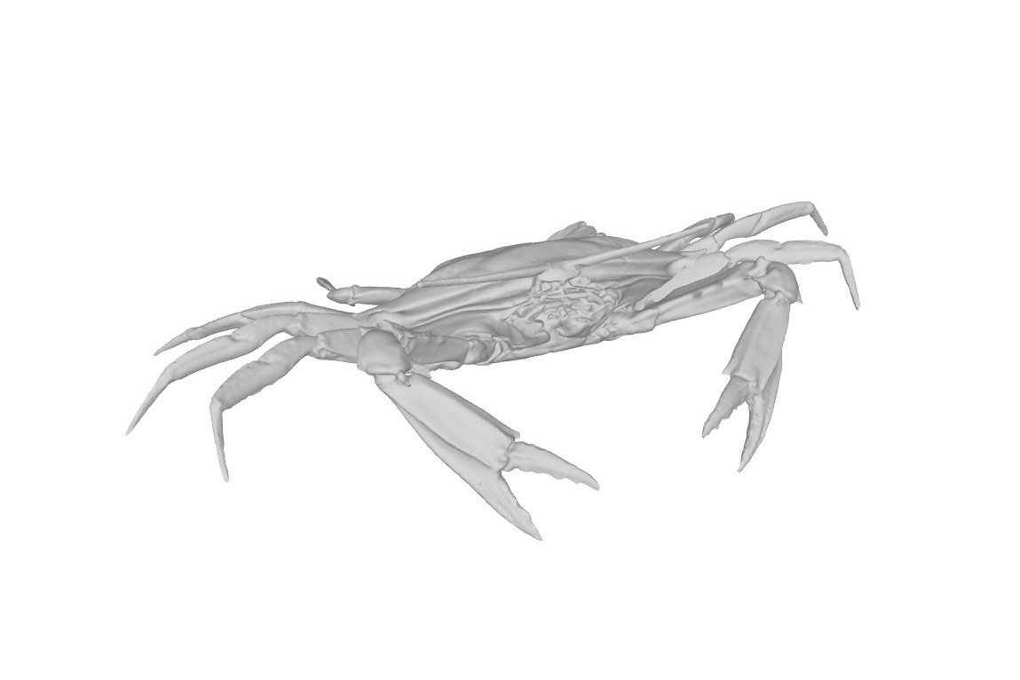 3D-Model: Ádám Pereszlényi