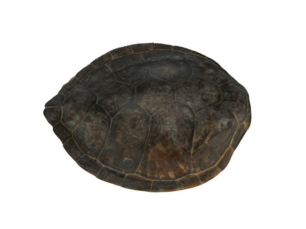 3D-Model: Ádám Pereszlényi