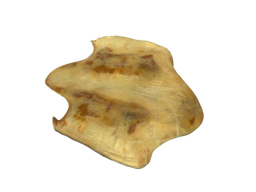 3D-Model: Ádám Pereszlényi
