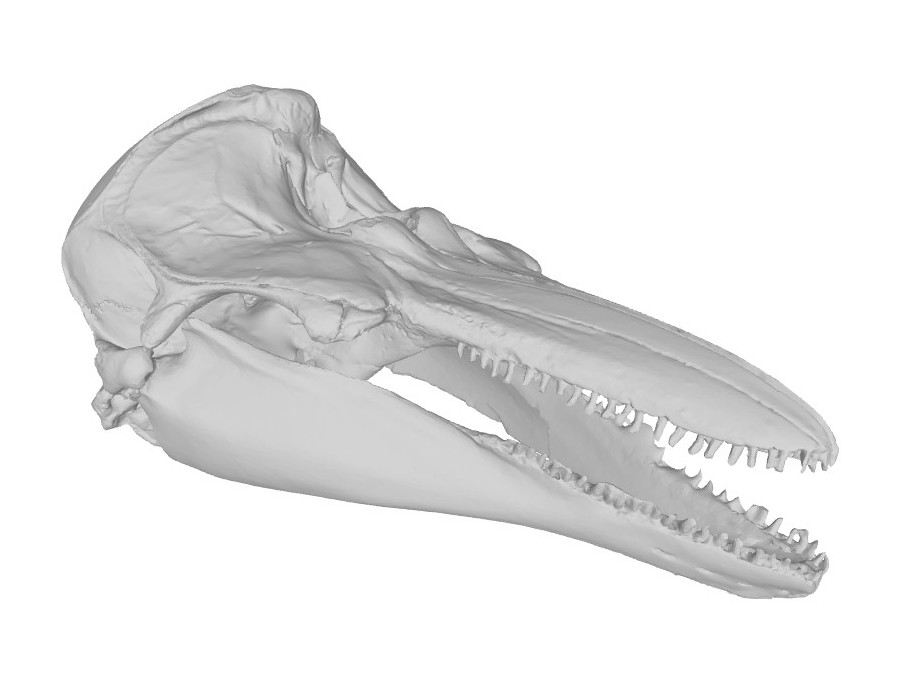 3D-Model: Ádám Pereszlényi