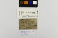 Etiketten / Labels - Foto: Ádám Pereszlényi