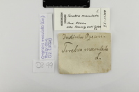 Etiketten / Labels - Foto: Ádám Pereszlényi