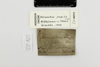 Etiketten / Labels - Foto: Ádám Pereszlényi
