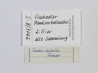 Etikett / Label - Foto: Ádám Pereszlényi