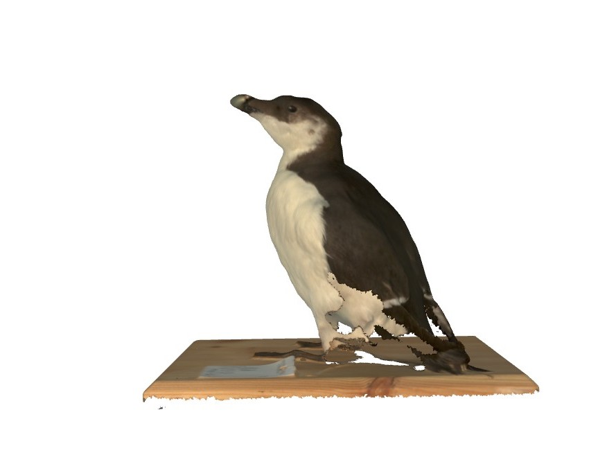 3D-Model: Ádám Pereszlényi