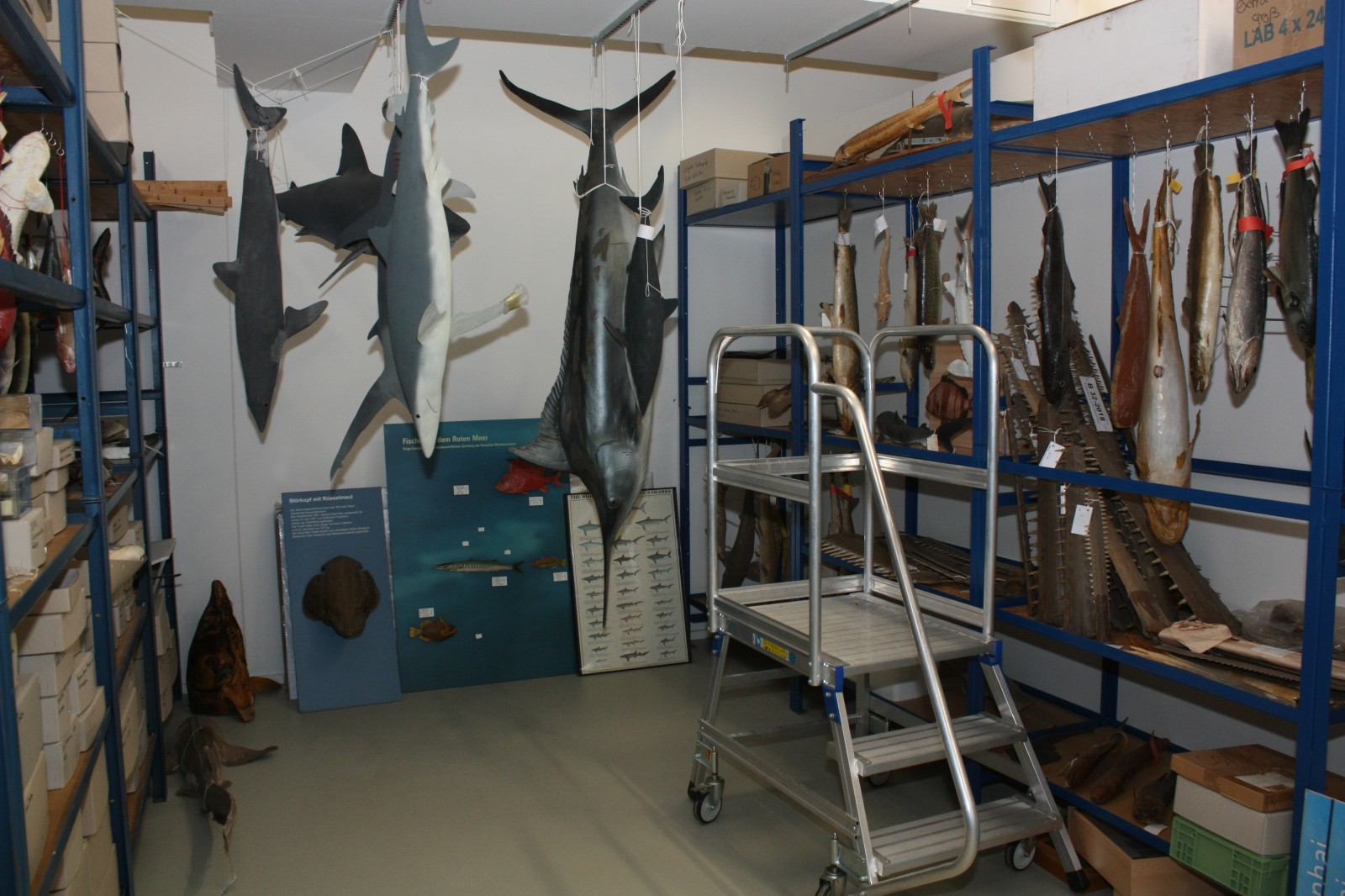 Trockensammlung
