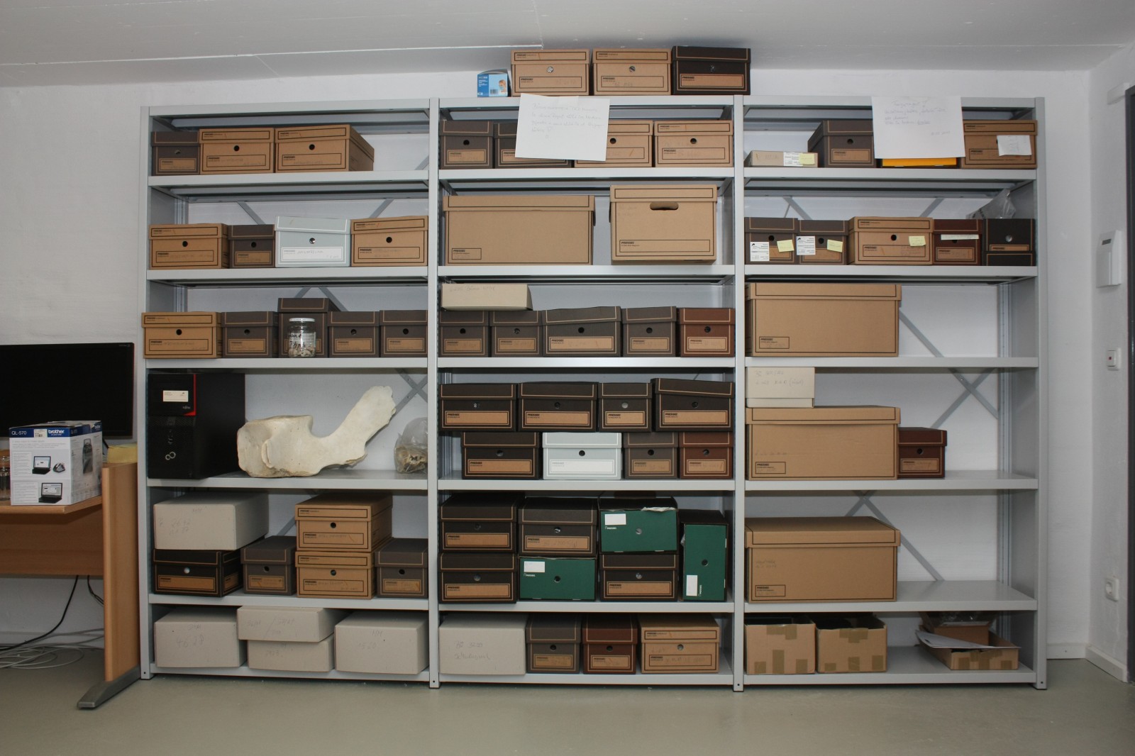 Meeressäugetiersammlung